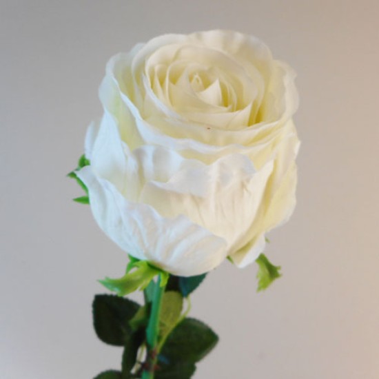 Belgravia Rose Cream 71cm Artificial Flowers